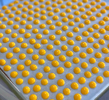 Load image into Gallery viewer, Egg Yolk Goat Milk Beans ( in Bottle )
